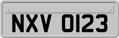 NXV0123