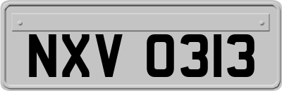 NXV0313