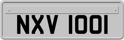 NXV1001