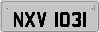 NXV1031