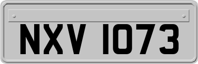 NXV1073