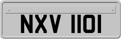 NXV1101