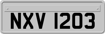 NXV1203