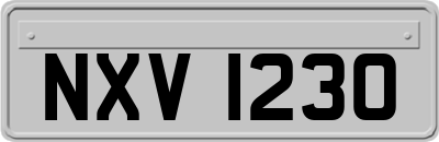 NXV1230