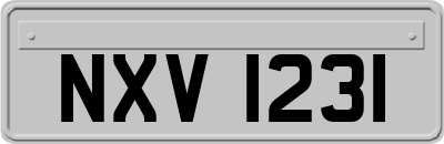 NXV1231