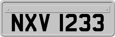 NXV1233