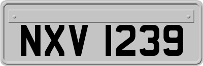 NXV1239