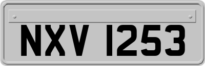 NXV1253