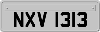 NXV1313