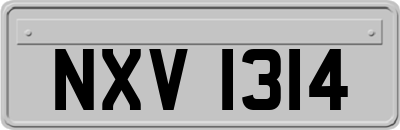 NXV1314
