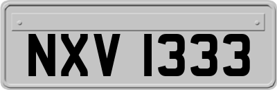 NXV1333