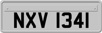 NXV1341