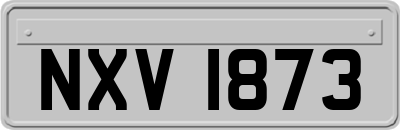 NXV1873