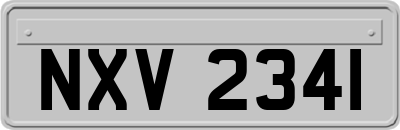 NXV2341