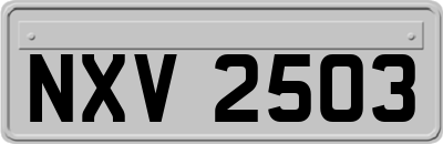 NXV2503