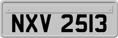 NXV2513