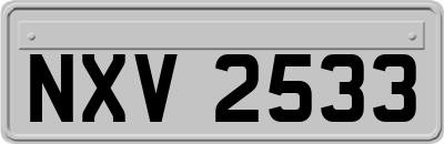 NXV2533