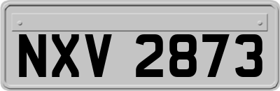 NXV2873