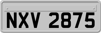NXV2875