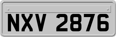 NXV2876