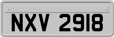 NXV2918