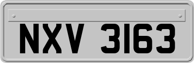 NXV3163