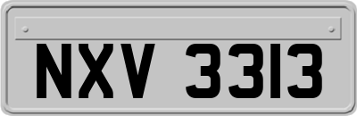 NXV3313
