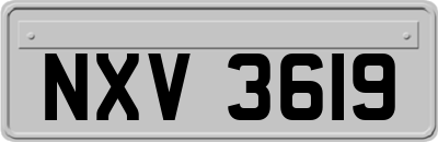 NXV3619