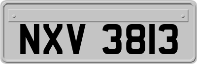 NXV3813