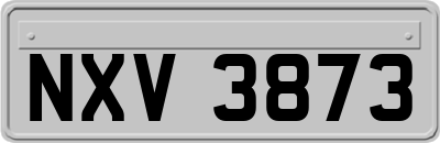 NXV3873