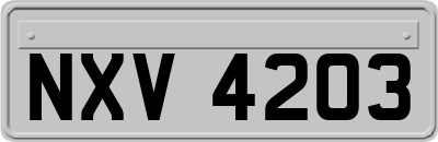 NXV4203