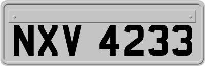 NXV4233