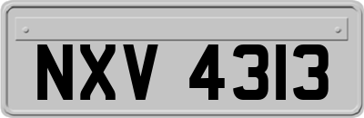 NXV4313