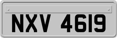 NXV4619