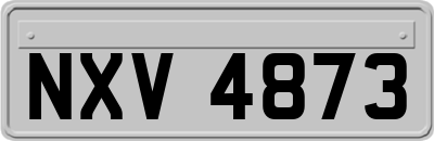 NXV4873