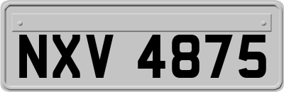 NXV4875