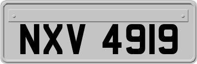 NXV4919