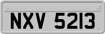 NXV5213