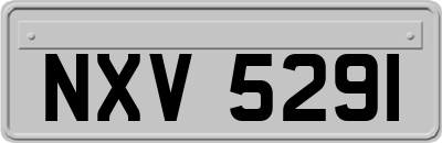 NXV5291