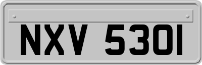 NXV5301