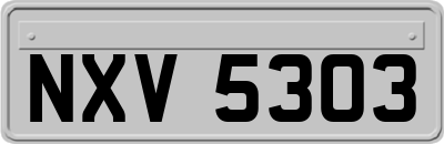NXV5303