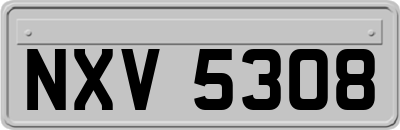 NXV5308