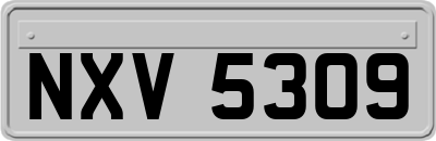 NXV5309