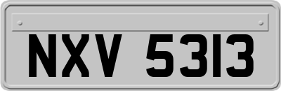 NXV5313
