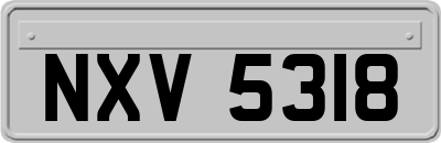 NXV5318