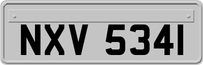 NXV5341