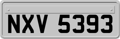 NXV5393