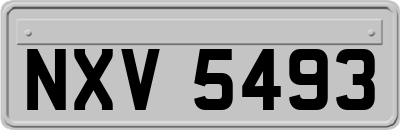 NXV5493