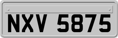 NXV5875