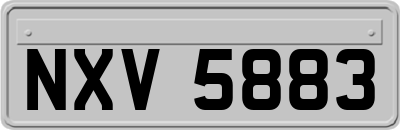 NXV5883